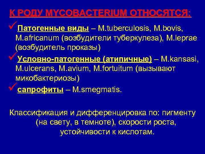 К РОДУ MYCOBACTERIUM ОТНОСЯТСЯ: Патогенные виды – M. tuberculosis, M. bovis, M. africanum (возбудители