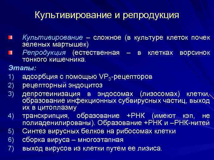 Культивирование и репродукция Культивирование – сложное (в культуре клеток почек зеленых мартышек) Репродукция (естественная