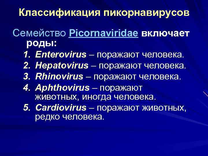 Классификация пикорнавирусов Семейство Picornaviridae включает роды: 1. 2. 3. 4. Enterovirus – поражают человека.