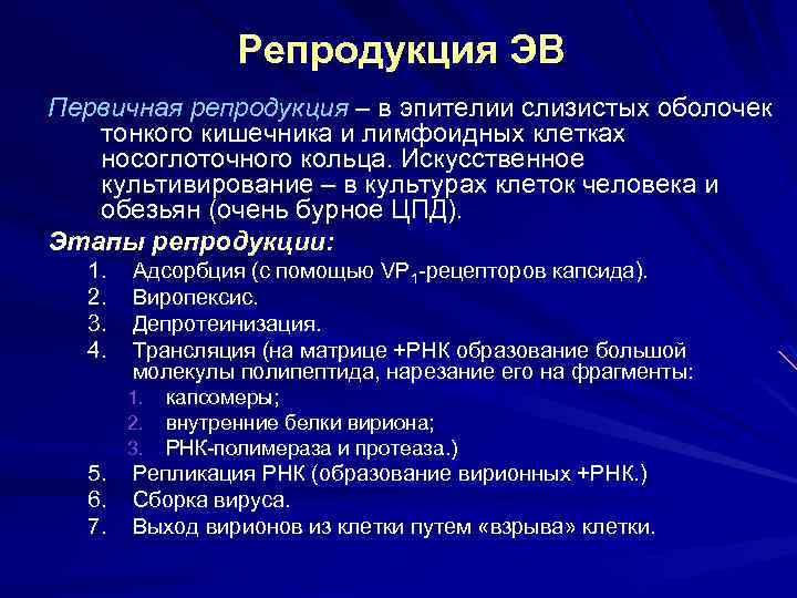 Репродукция ЭВ Первичная репродукция – в эпителии слизистых оболочек тонкого кишечника и лимфоидных клетках