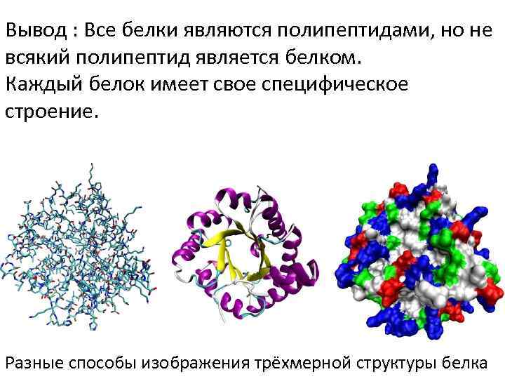 Вывод : Все белки являются полипептидами, но не всякий полипептид является белком. Каждый белок