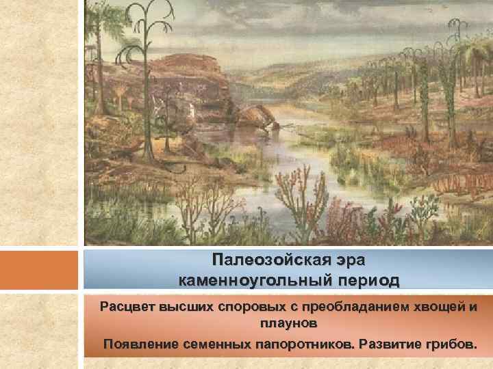 Новый период появился в периоде. Палеозойская Эра Расцвет. Семенные папоротники Эра и период. Эра папоротников и период появление. Эра и период развития папоротников хвощей.