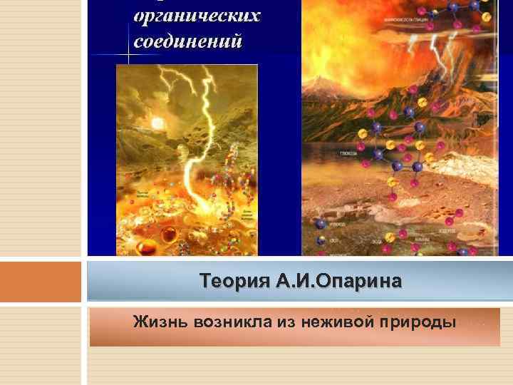 Теория А. И. Опарина Жизнь возникла из неживой природы 