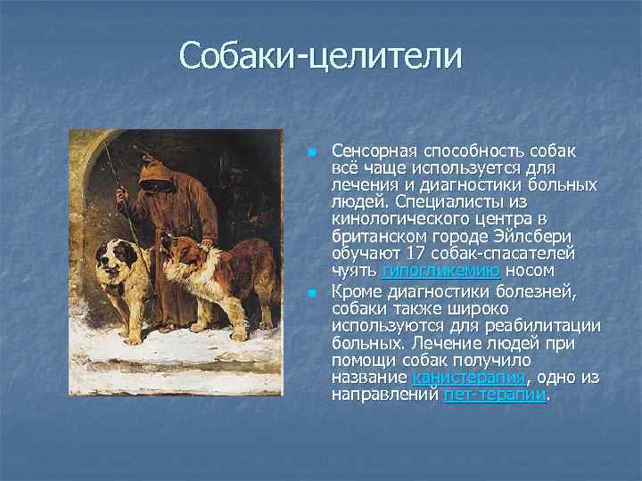 Собаки-целители n n Сенсорная способность собак всё чаще используется для лечения и диагностики больных