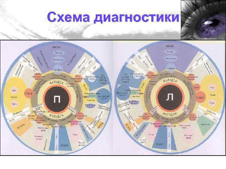 Схема диагностики 