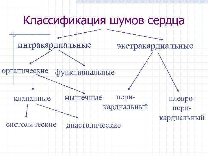 Классификация шумов сердца интракардиальные экстракардиальные органические функциональные клапанные систолические мышечные перикардиальный диастолические плевроперикардиальный 