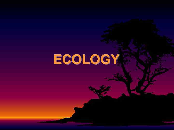 ECOLOGY 