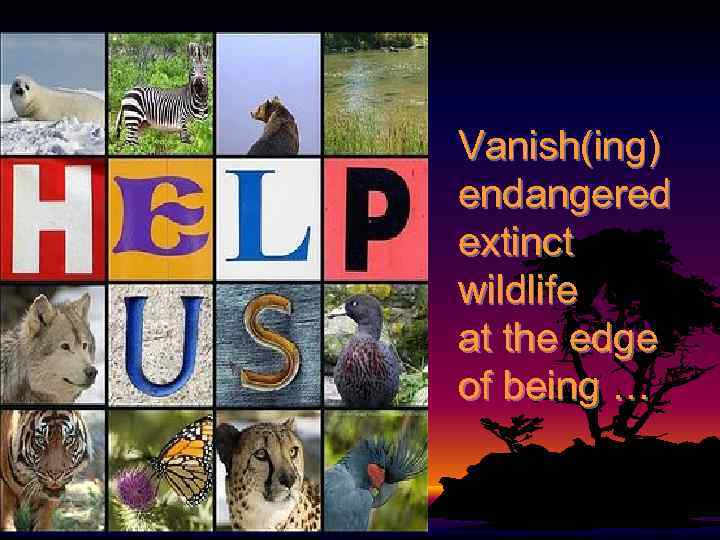 Vanish(ing) endangered extinct wildlife at the edge of being … 