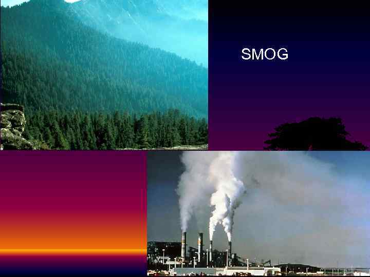 SMOG 