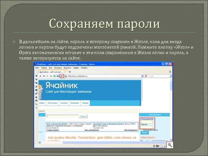 Сохраняем пароли В дальнейшем на сайте, пароль к которому сохранен в Жезле, поля для