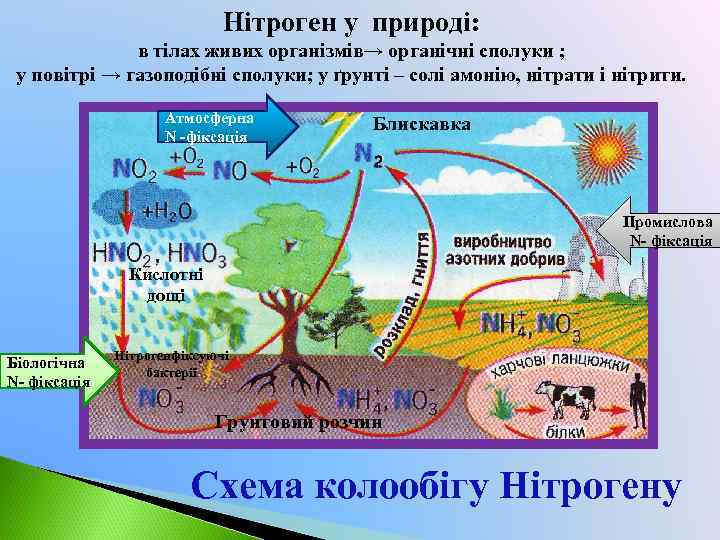 Нітроген у природі: в тілах живих організмів→ органічні сполуки ; у повітрі → газоподібні