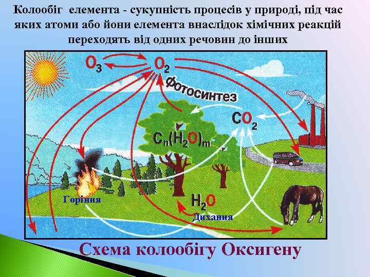 Колообіг елемента - сукупність процесів у природі, під час яких атоми або йони елемента