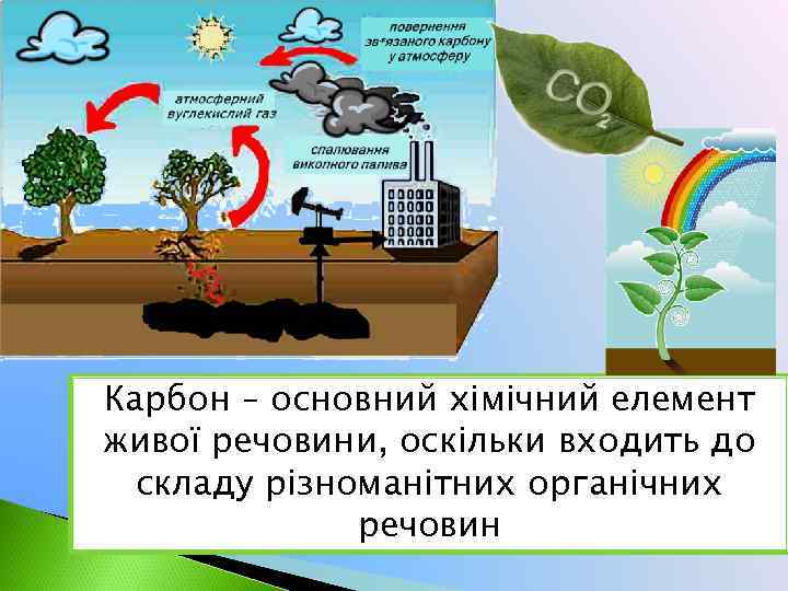 Карбон – основний хімічний елемент живої речовини, оскільки входить до складу різноманітних органічних речовин