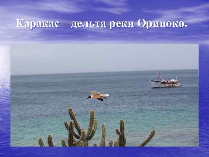 Каракас – дельта реки Ориноко. 