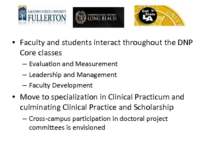  • Faculty and students interact throughout the DNP Core classes – Evaluation and