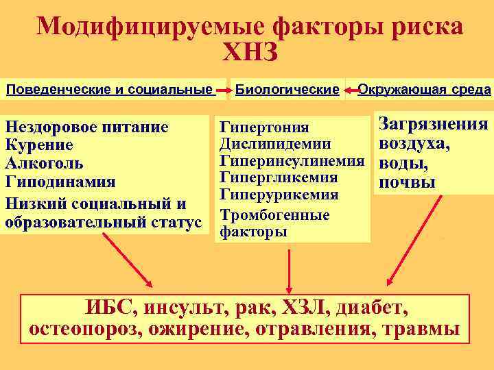Модифицируемые факторы риска ХНЗ Поведенческие и социальные Нездоровое питание Курение Алкоголь Гиподинамия Низкий социальный