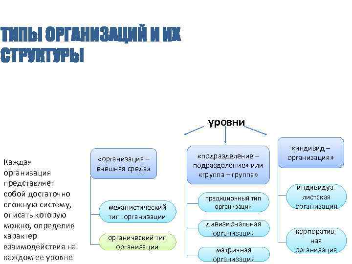 Организовать какой вид