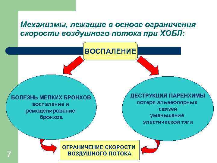 Механизмы, лежащие в основе ограничения скорости воздушного потока при ХОБЛ: ВОСПАЛЕНИЕ БОЛЕЗНЬ МЕЛКИХ БРОНХОВ