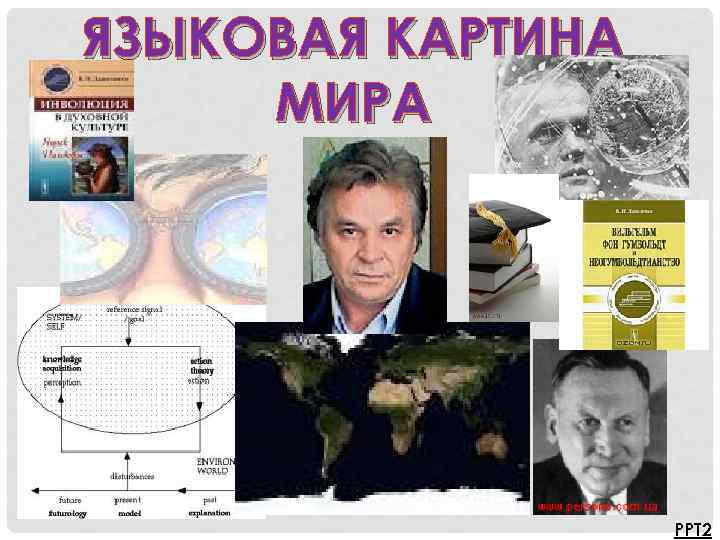 ЯЗЫКОВАЯ КАРТИНА МИРА PPT 2 