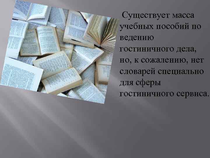  Существует масса учебных пособий по ведению гостиничного дела, но, к сожалению, нет словарей