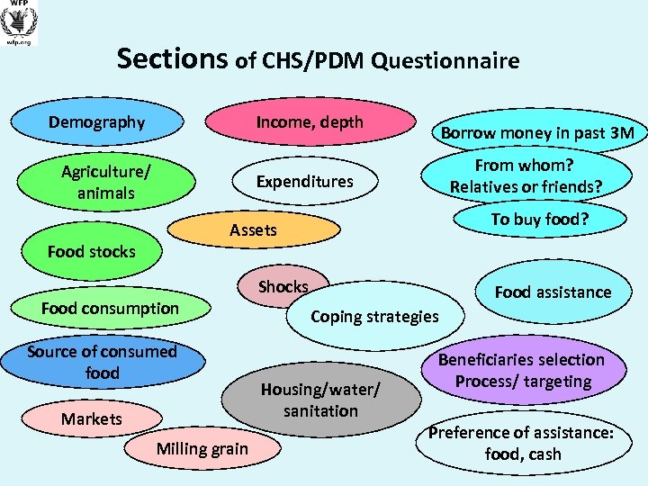 Sections of CHS/PDM Questionnaire Demography Income, depth Agriculture/ animals Borrow money in past 3