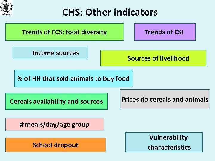 CHS: Other indicators Trends of FCS: food diversity Income sources Trends of CSI Sources