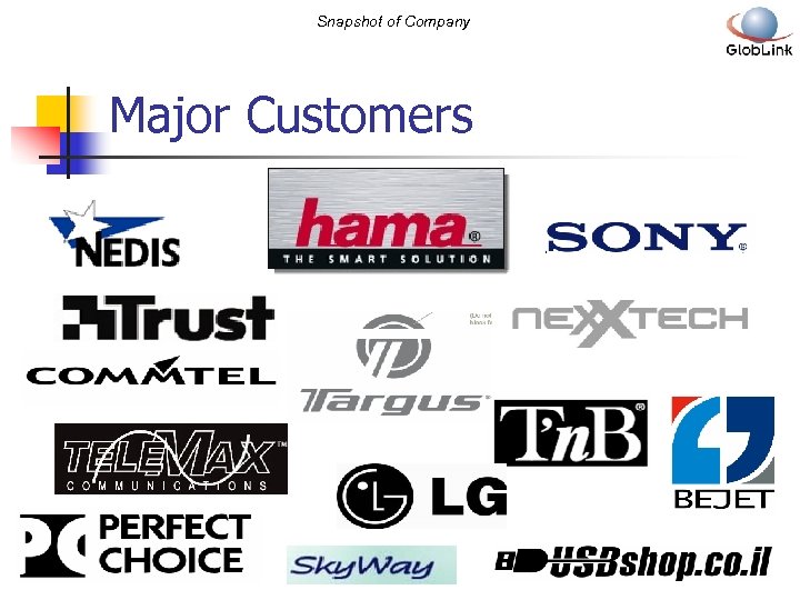 Snapshot of Company Major Customers 