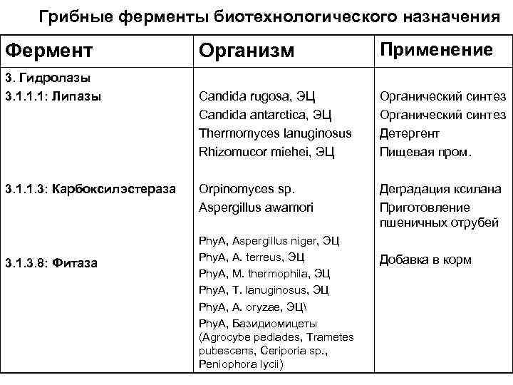 Грибные ферменты биотехнологического назначения Фермент 3. Гидролазы 3. 1. 1. 1: Липазы 3. 1.