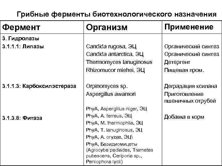 Грибные ферменты биотехнологического назначения Фермент 3. Гидролазы 3. 1. 1. 1: Липазы 3. 1.