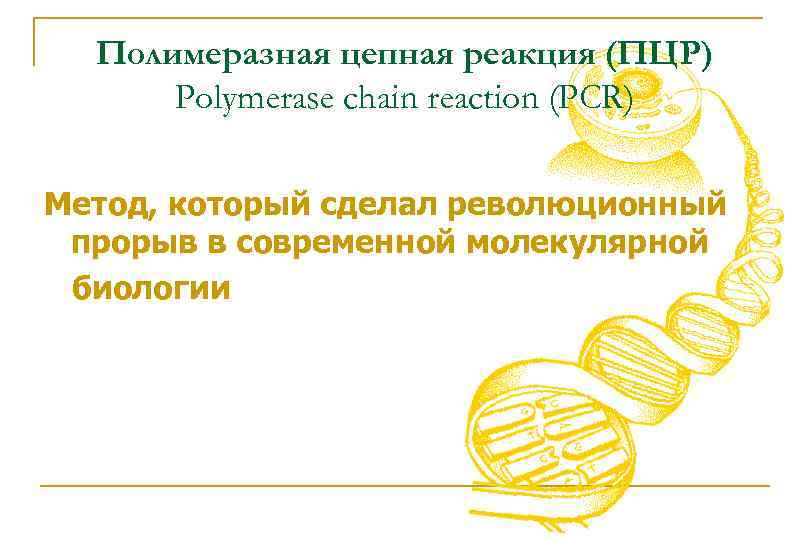 Полимеразная цепная реакция (ПЦР) Polymerase chain reaction (PCR) Метод, который сделал революционный прорыв в
