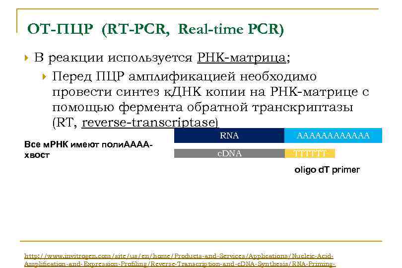 ОТ-ПЦР (RT-PCR, Real-time PCR) В реакции используется РНК-матрица; Перед ПЦР амплификацией необходимо провести синтез