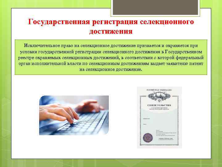 Достижения охраны. Государственная регистрация селекционного достижения.