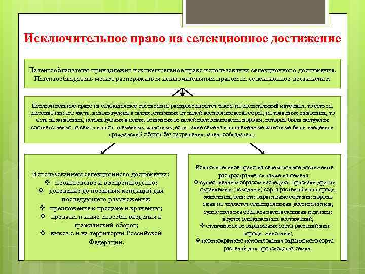Исключительное право на селекционное достижение Патентообладателю принадлежит исключительное право использования селекционного достижения. Патентообладатель может