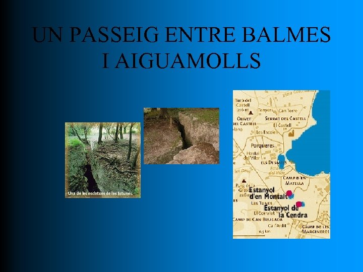 UN PASSEIG ENTRE BALMES I AIGUAMOLLS 
