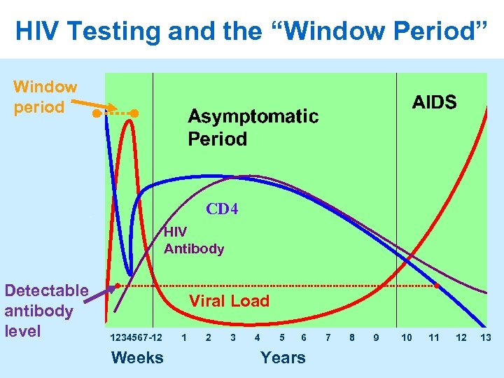 HIV Testing and the “Window Period” Window period CD 4 HIV Antibody Detectable antibody