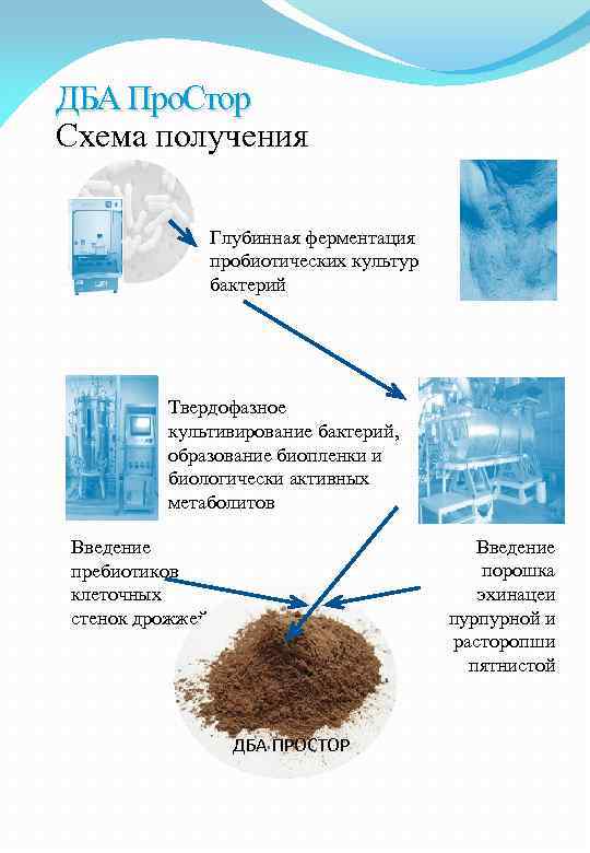 ДБА Про. Стор Схема получения Глубинная ферментация пробиотических культур бактерий Твердофазное культивирование бактерий, образование