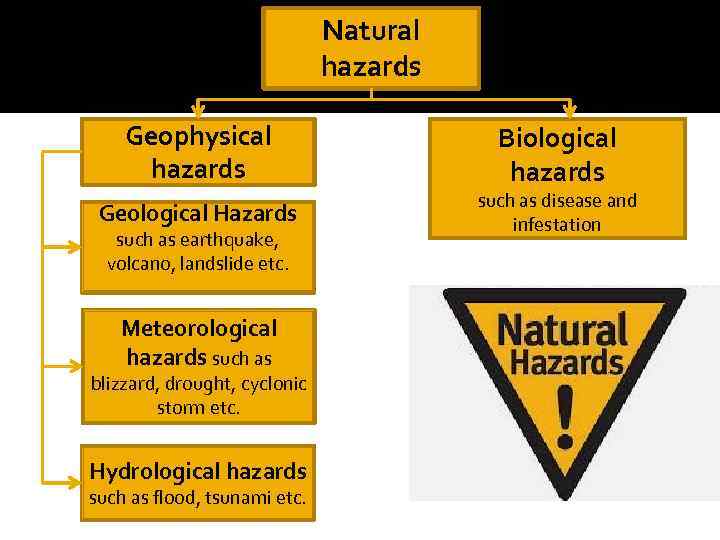 Natural hazards Geophysical hazards Geological Hazards such as earthquake, volcano, landslide etc. Meteorological hazards