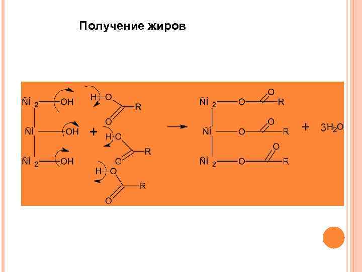 Уравнение синтеза жира. Способы получения жиров. Схема получения жира. Получение жиров химия. Общая схема получения жиров.