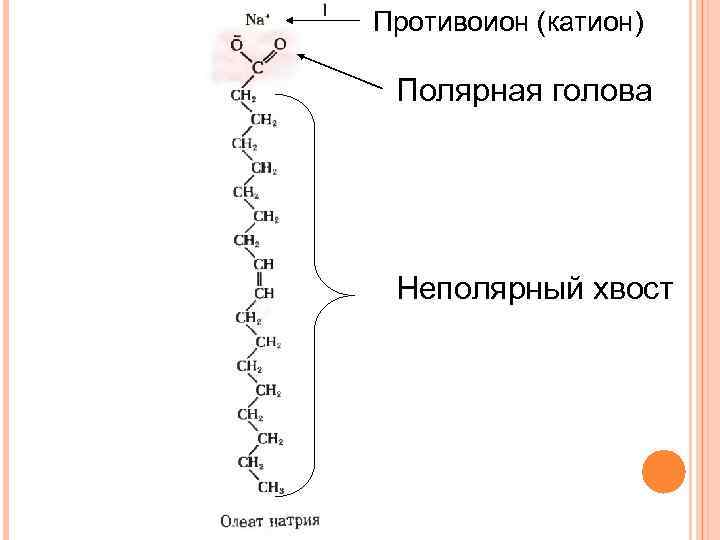 Липиды неполярные вещества. Неполярные хвосты липидов. Полярные и неполярные липиды. Полярная головка и неполярный хвост. Гидрофобные хвосты.