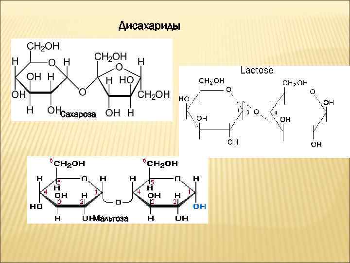 Сахароза биологическая роль. Лактоза дисахарид. Мальтоза биороль. Структурная формула дисахаридов. Сахароза и мальтоза формула.