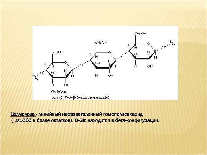 Целлюлоза - линейный неразветвленный гомополисахарид ( из 1000 и более остатков). D-Glc находится в