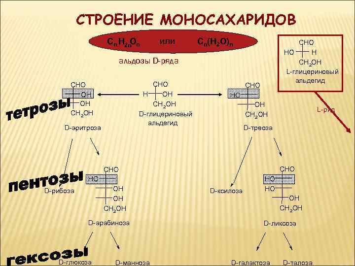 СТРОЕНИЕ МОНОСАХАРИДОВ Cn H 2 n. On или Cn(H 2 O)n CHO HO H