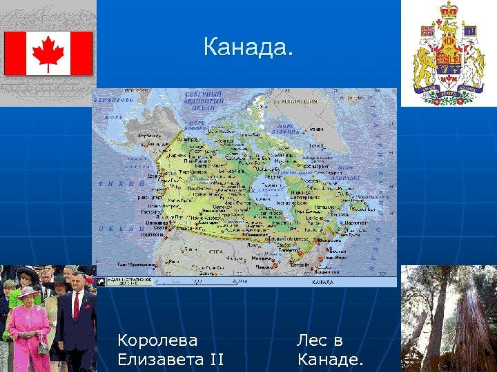 Канада. Королева Елизавета II Лес в Канаде. 