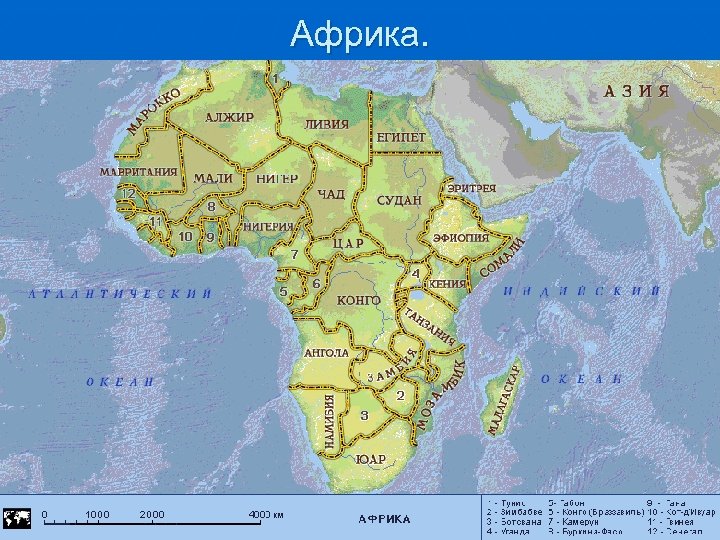 Африка. 