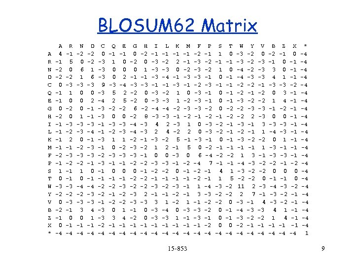 BLOSUM 62 Matrix A R N D C Q E G H I L