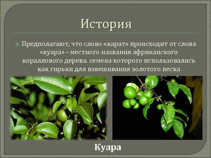История Предполагают, что слово «карат» происходит от слова «куара» местного названия африканского кораллового дерева.
