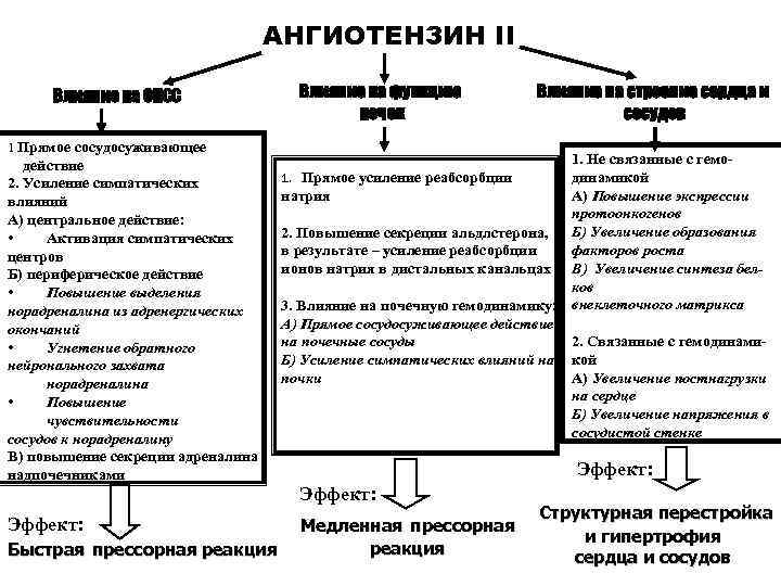 АНГИОТЕНЗИН II Влияние на ОПСС 1 Прямое сосудосуживающее действие 2. Усиление симпатических влияний А)