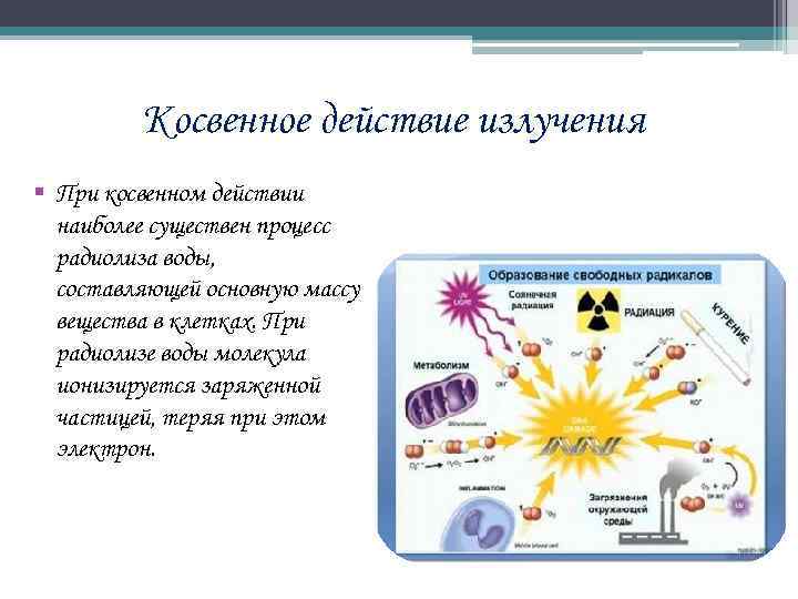 Действие излучения. Косвенное действие радиации. Косвенное излучение радиации. Косвенное воздействие радиации. Косвенное действие ионизирующего излучения.