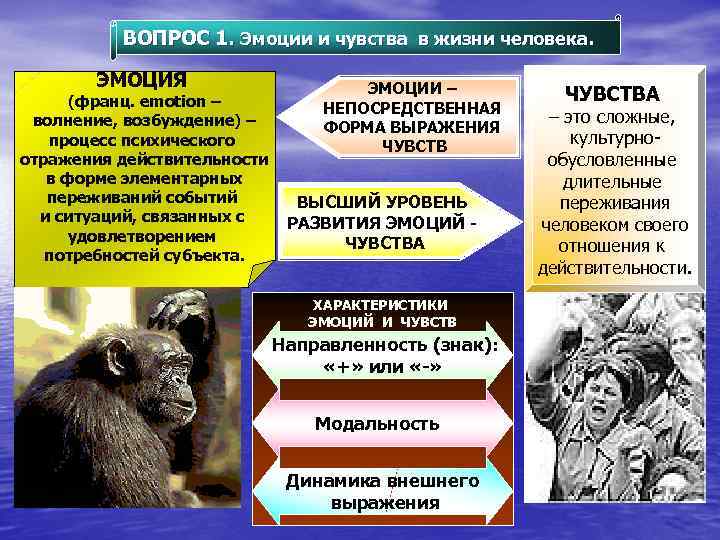 ВОПРОС 1. Эмоции и чувства в жизни человека. ЭМОЦИЯ (франц. emotion – волнение, возбуждение)