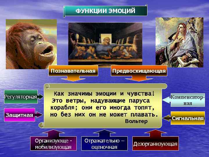 ФУНКЦИИ ЭМОЦИЙ Познавательная Регуляторная Защитная Предвосхищающая Как значимы эмоции и чувства! Это ветры, надувающие